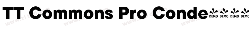 TT Commons Pro Conde字体转换